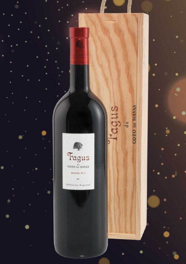 fagus-vino-cestas-de-navidad-lote-de-navidad-regalos-cesta